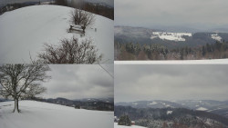 Sdružený snímek Bludný