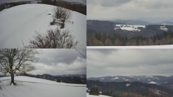 Sdružený snímek Bludný