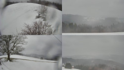 Sdružený snímek Bludný