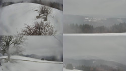 Sdružený snímek Bludný