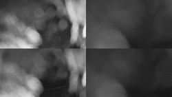 Sdružený snímek Bludný