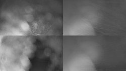 Sdružený snímek Bludný