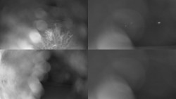 Sdružený snímek Bludný