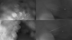 Sdružený snímek Bludný