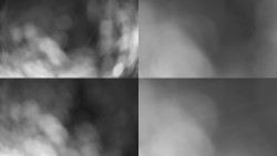 Sdružený snímek Bludný