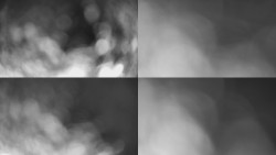 Sdružený snímek Bludný