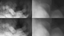 Sdružený snímek Bludný