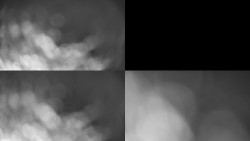 Sdružený snímek Bludný