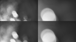 Sdružený snímek Bludný