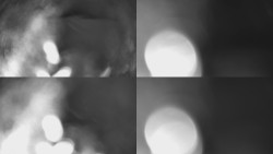 Sdružený snímek Bludný