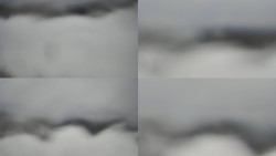 Sdružený snímek Bludný