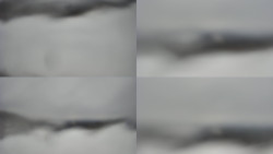 Sdružený snímek Bludný