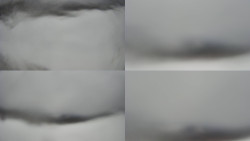 Sdružený snímek Bludný