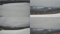 Sdružený snímek Bludný