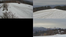 Sdružený snímek Bludný