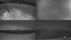 Sdružený snímek Bludný