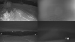 Sdružený snímek Bludný