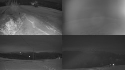 Sdružený snímek Bludný