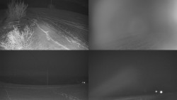 Sdružený snímek Bludný