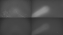 Sdružený snímek Bludný