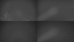 Sdružený snímek Bludný