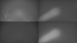 Sdružený snímek Bludný