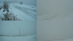 Sdružený snímek Bludný