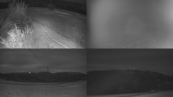 Sdružený snímek Bludný