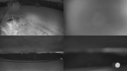 Sdružený snímek Bludný