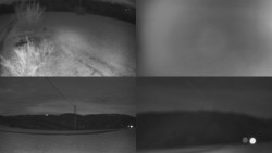 Sdružený snímek Bludný