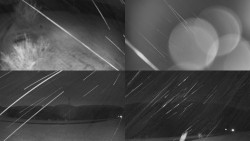 Sdružený snímek Bludný