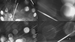 Sdružený snímek Bludný