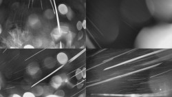 Sdružený snímek Bludný