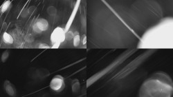 Sdružený snímek Bludný