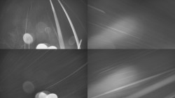 Sdružený snímek Bludný