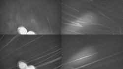 Sdružený snímek Bludný