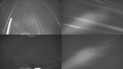 Sdružený snímek Bludný