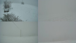 Sdružený snímek Bludný