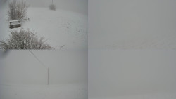 Sdružený snímek Bludný