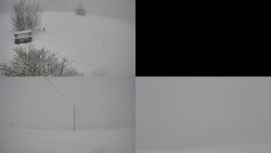 Sdružený snímek Bludný