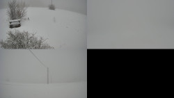 Sdružený snímek Bludný