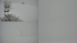 Sdružený snímek Bludný