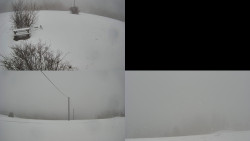 Sdružený snímek Bludný