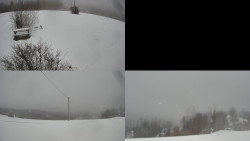 Sdružený snímek Bludný