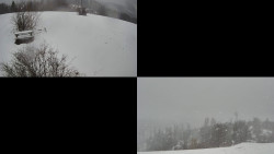 Sdružený snímek Bludný