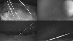 Sdružený snímek Bludný