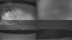 Sdružený snímek Bludný