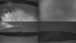 Sdružený snímek Bludný