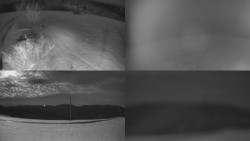 Sdružený snímek Bludný