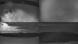 Sdružený snímek Bludný